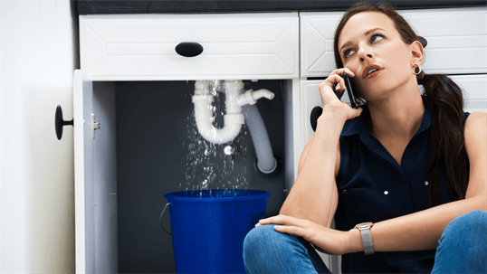 Avoiding Plumbing Emergencies During the Holidays